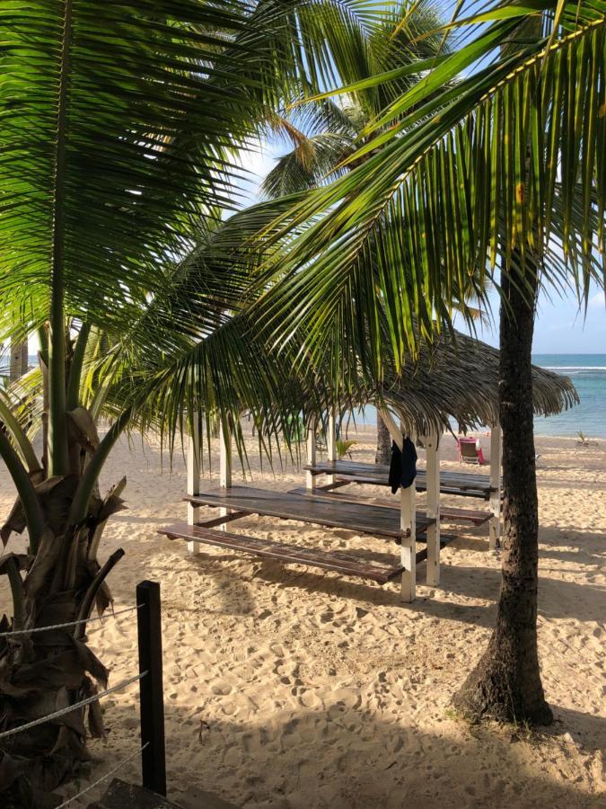 Brin D'Ile Anse Des Rochers Vue Mer A 50 M De La Plage Et Piscine Saint-Francois  Exterior foto