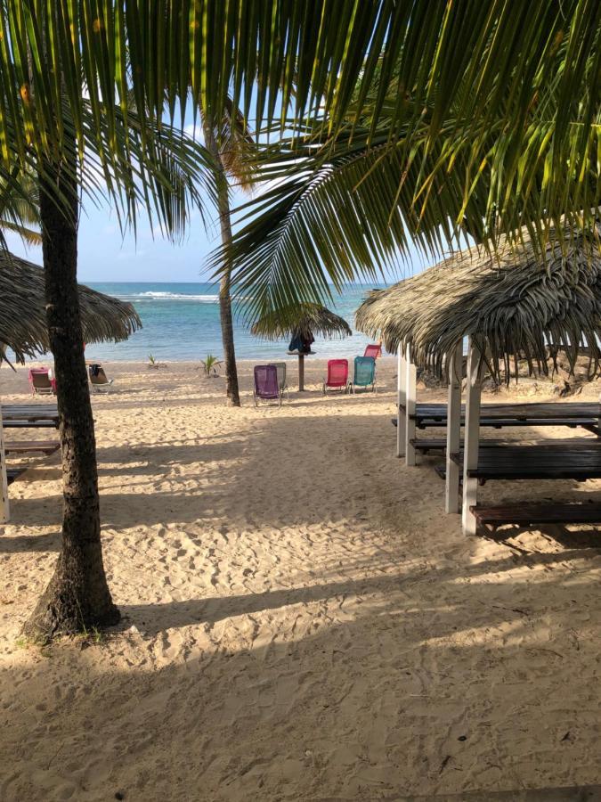 Brin D'Ile Anse Des Rochers Vue Mer A 50 M De La Plage Et Piscine Saint-Francois  Exterior foto