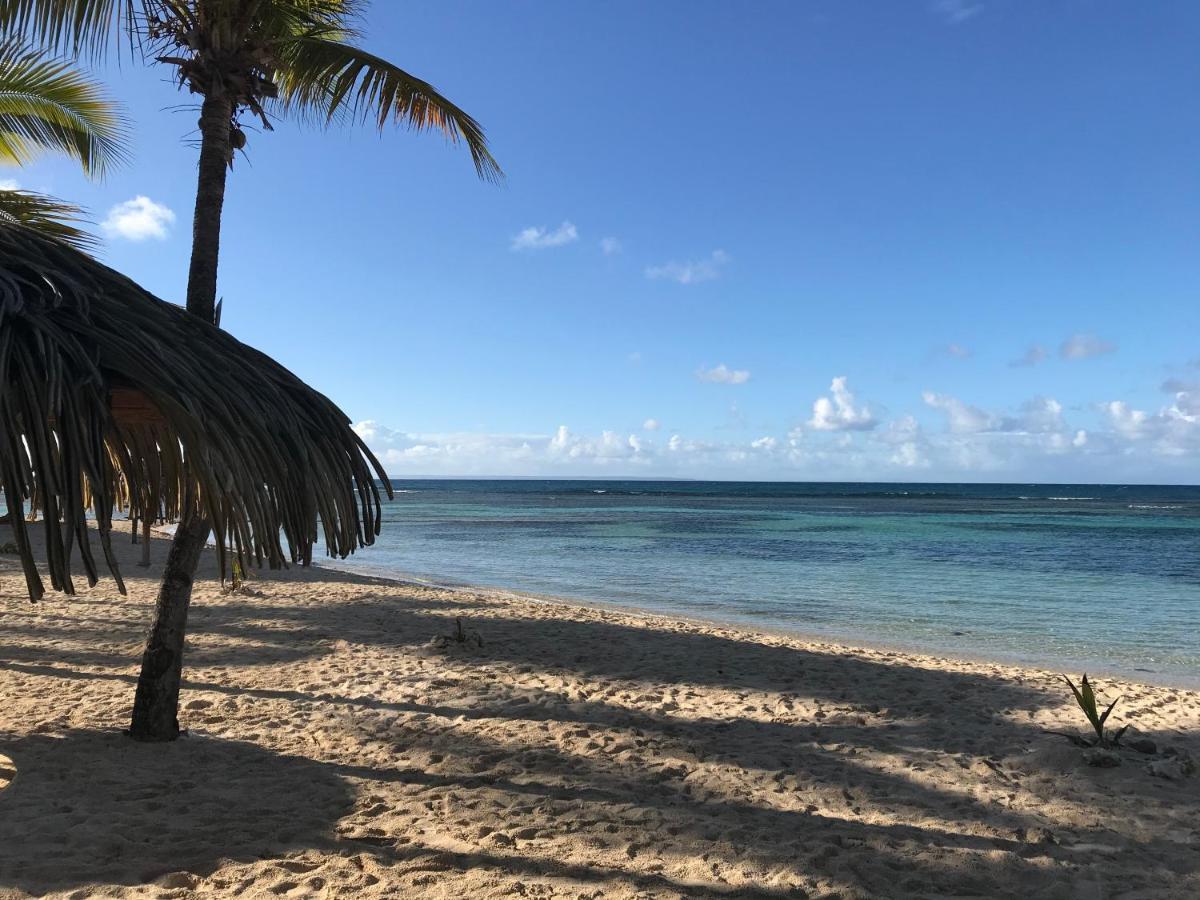 Brin D'Ile Anse Des Rochers Vue Mer A 50 M De La Plage Et Piscine Saint-Francois  Exterior foto