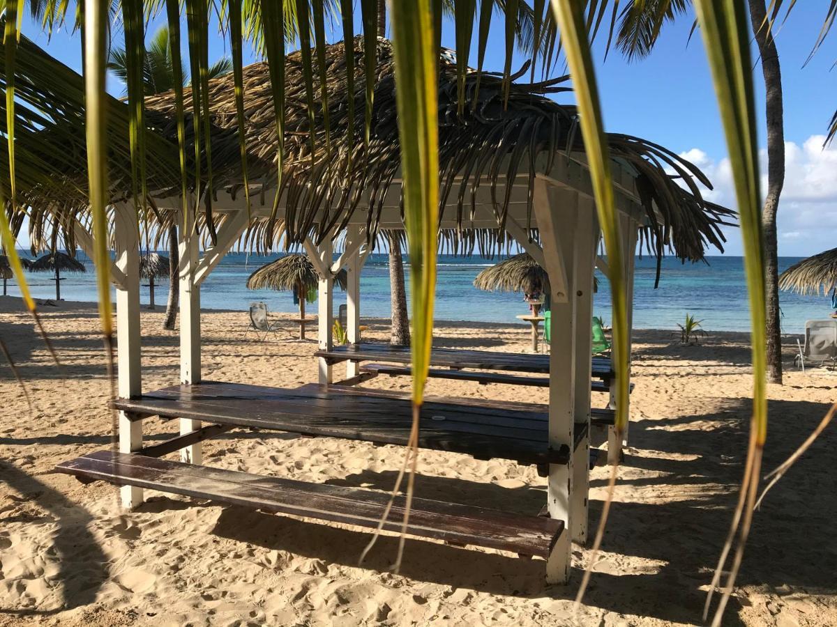 Brin D'Ile Anse Des Rochers Vue Mer A 50 M De La Plage Et Piscine Saint-Francois  Exterior foto