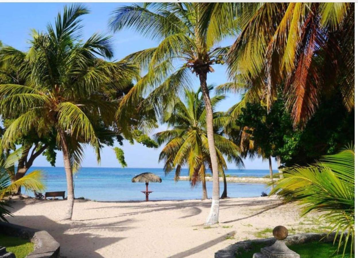 Brin D'Ile Anse Des Rochers Vue Mer A 50 M De La Plage Et Piscine Saint-Francois  Exterior foto
