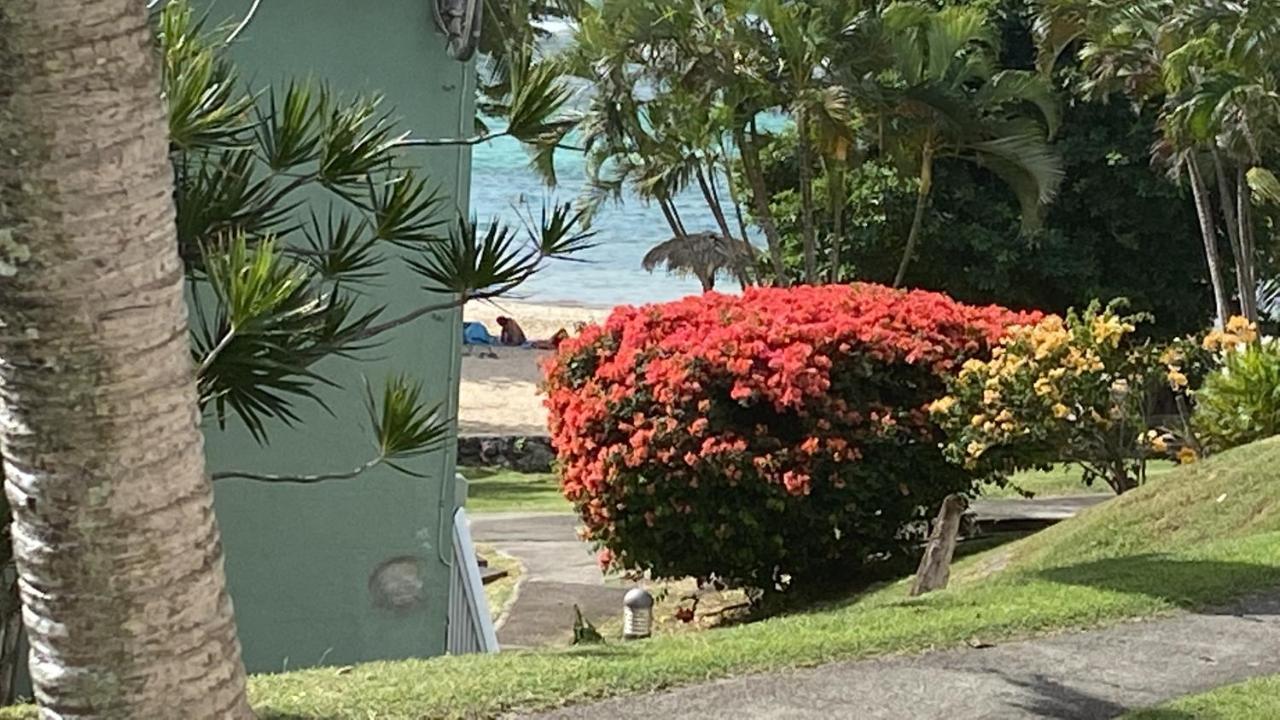 Brin D'Ile Anse Des Rochers Vue Mer A 50 M De La Plage Et Piscine Saint-Francois  Exterior foto
