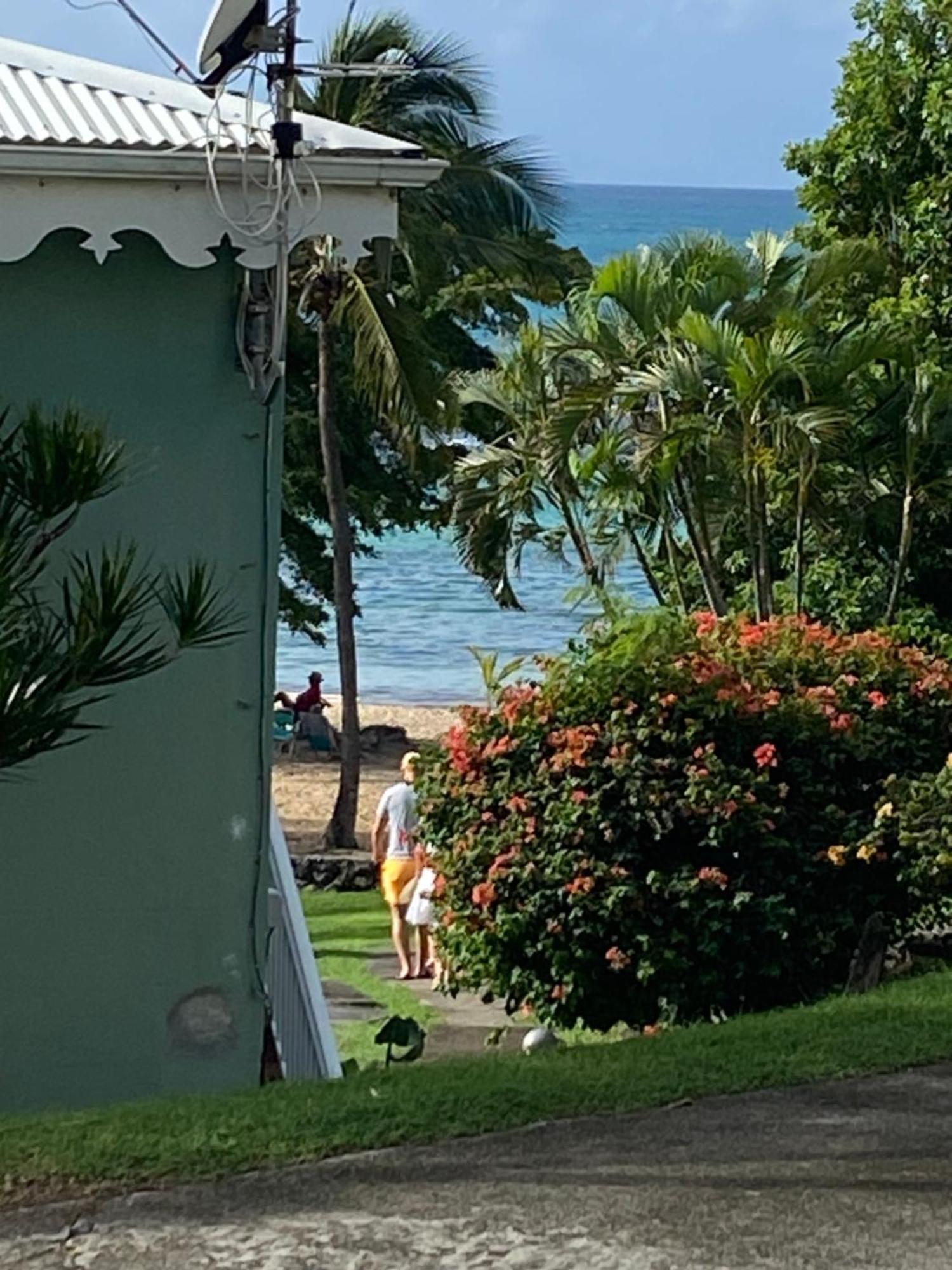 Brin D'Ile Anse Des Rochers Vue Mer A 50 M De La Plage Et Piscine Saint-Francois  Exterior foto