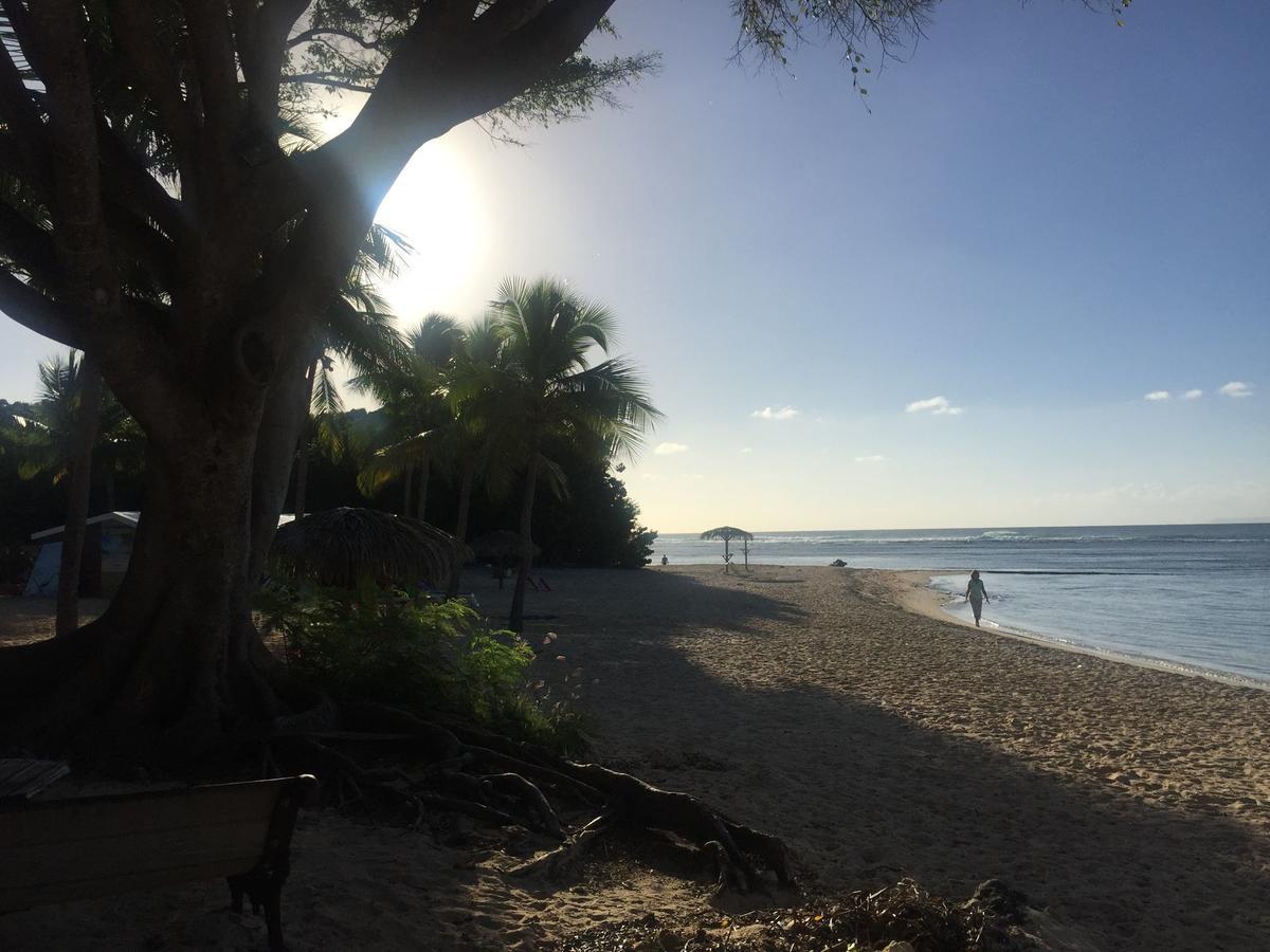 Brin D'Ile Anse Des Rochers Vue Mer A 50 M De La Plage Et Piscine Saint-Francois  Exterior foto