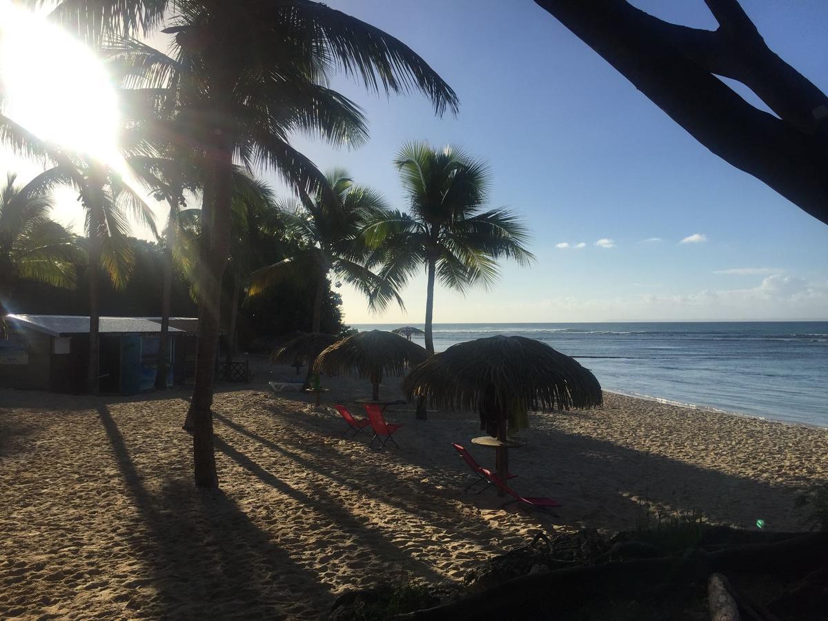 Brin D'Ile Anse Des Rochers Vue Mer A 50 M De La Plage Et Piscine Saint-Francois  Exterior foto