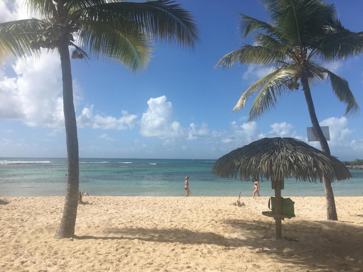 Brin D'Ile Anse Des Rochers Vue Mer A 50 M De La Plage Et Piscine Saint-Francois  Exterior foto